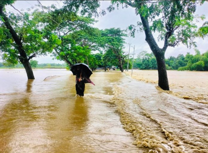 ছবি- সংগৃহীত।