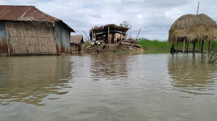 ছবি- সংগৃহীত।