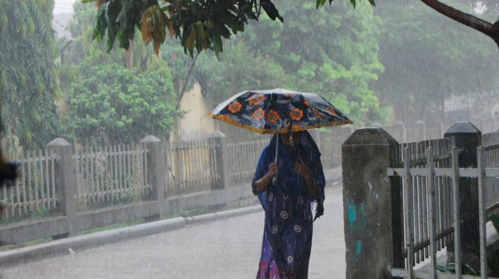 ছবি- সংগৃহীত।