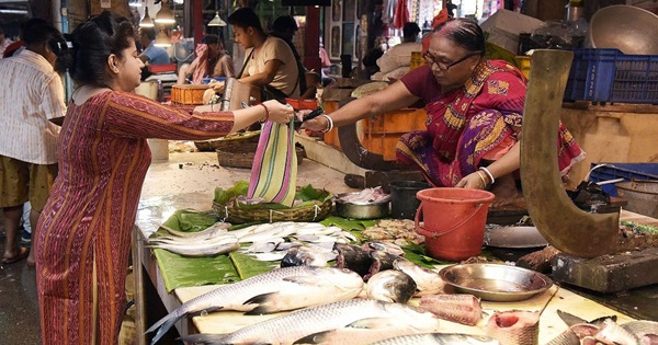 ছবি- সংগৃহীত।