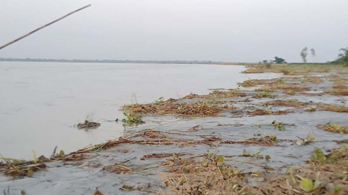 ছবি- সংগৃহীত।