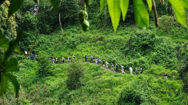 ছবি- সংগৃহীত।