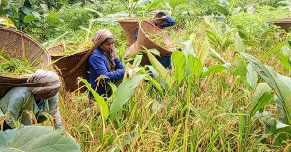 ছবি: দৈনিক খাগড়াছড়ি।